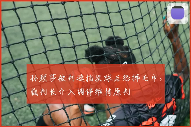 孙颖莎被判遮挡发球后怒摔毛巾，裁判长介入调停维持原判