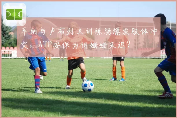 辛纳与卢布列夫训练场爆发肢体冲突，ATP安保为何姗姗来迟？